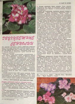 «Двухцветные сенполии», журнал Цветоводство, 1996, номер 2, стр 33 —34