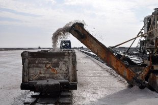 Комбайн отправляет соль в специальные вагоны. Фото: Анастасия МЕДЫНЦЕВА